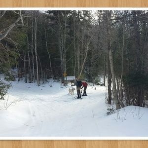 Meet your Posher, Terry